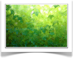 Landscape Designer Living Walls 